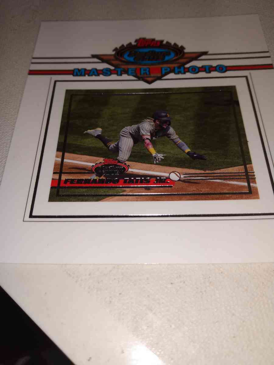 2021 Master photo Fernando tattis Jr