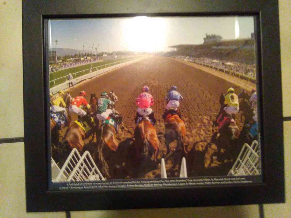 set of 6 2016 Santa Anita horse race photos