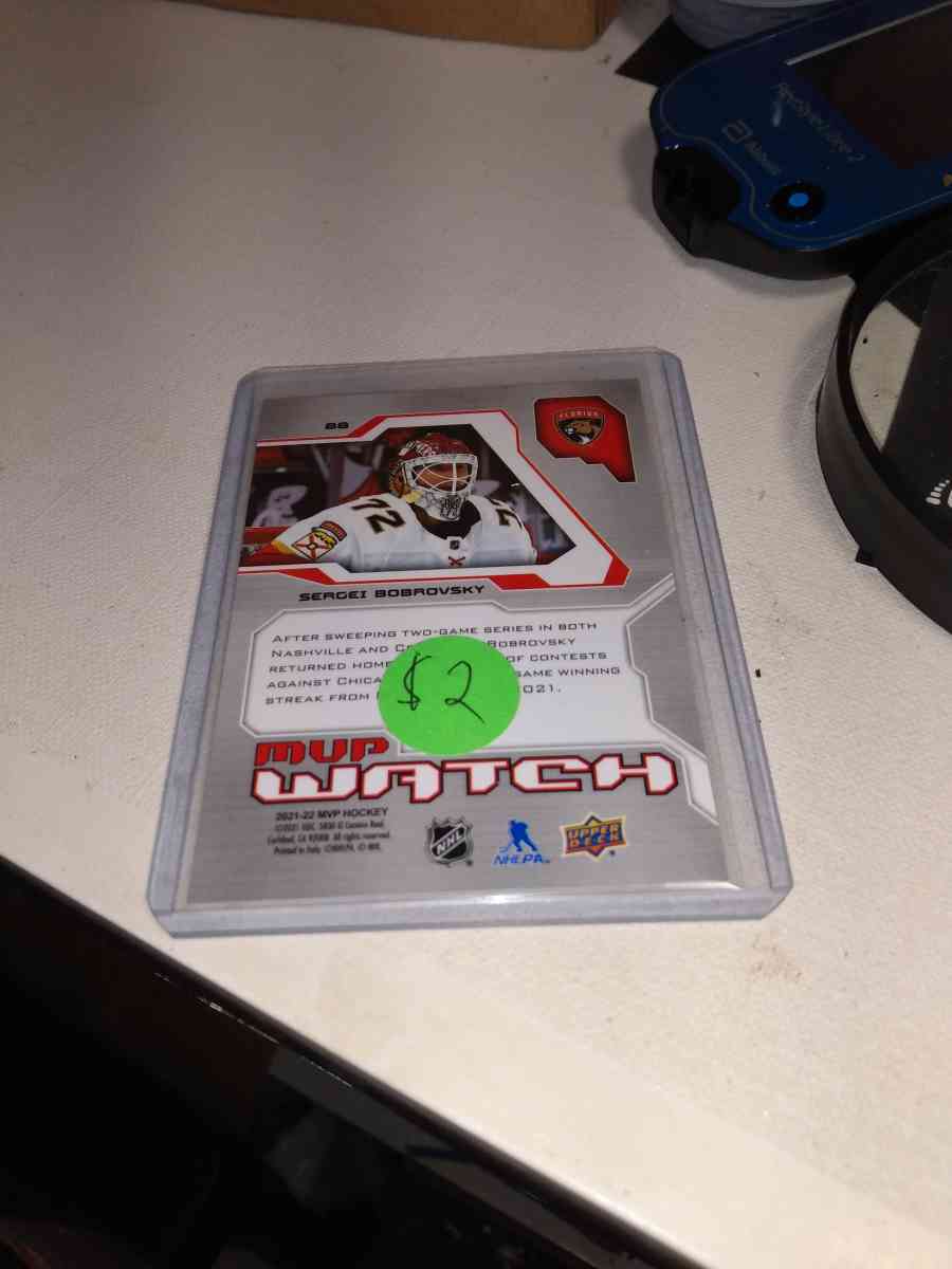 a project MVP hockey 2022 Sergei Bobrovsky