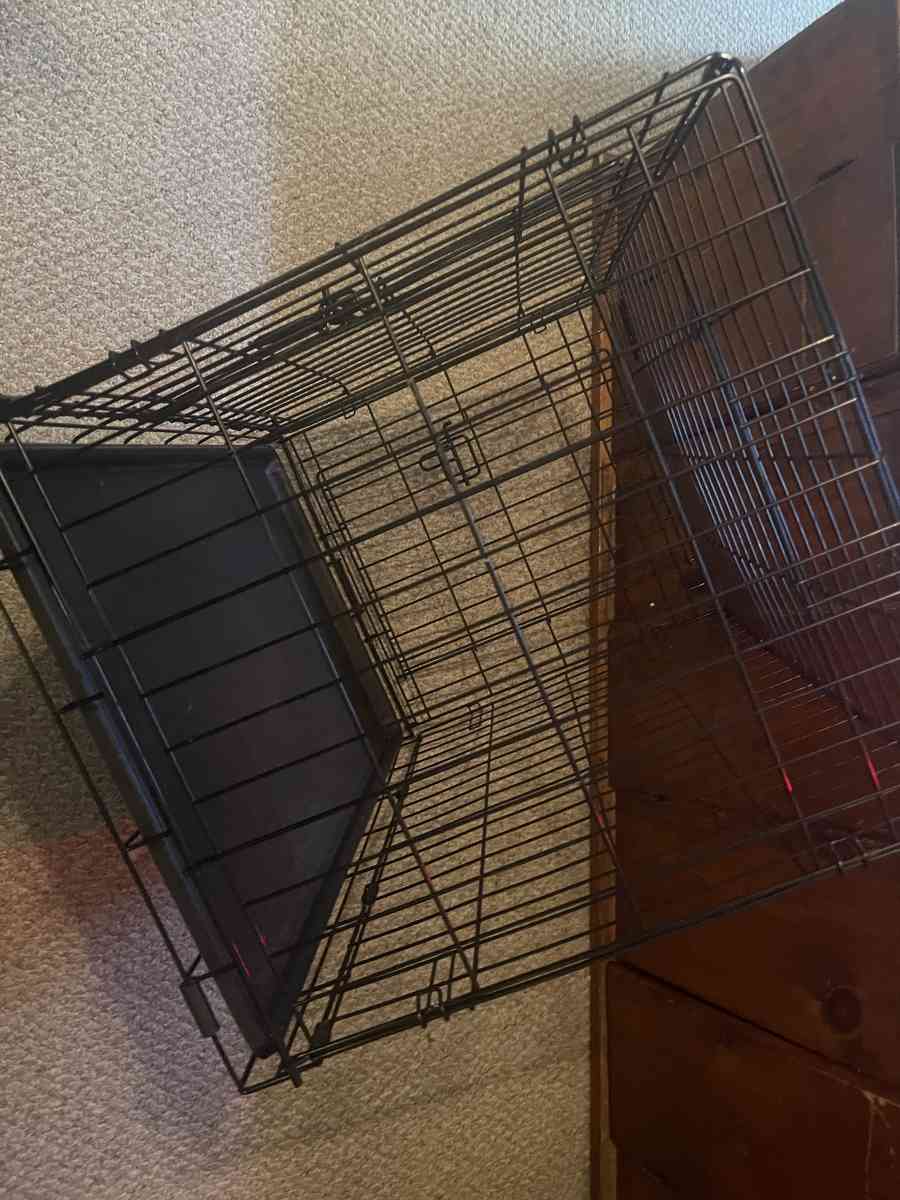 medium size doggie crate double door