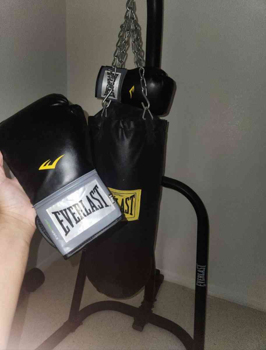 Everlast Punching Bag and Boxing Gloves
