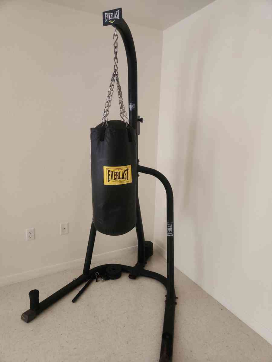 Everlast Punching Bag and Boxing Gloves