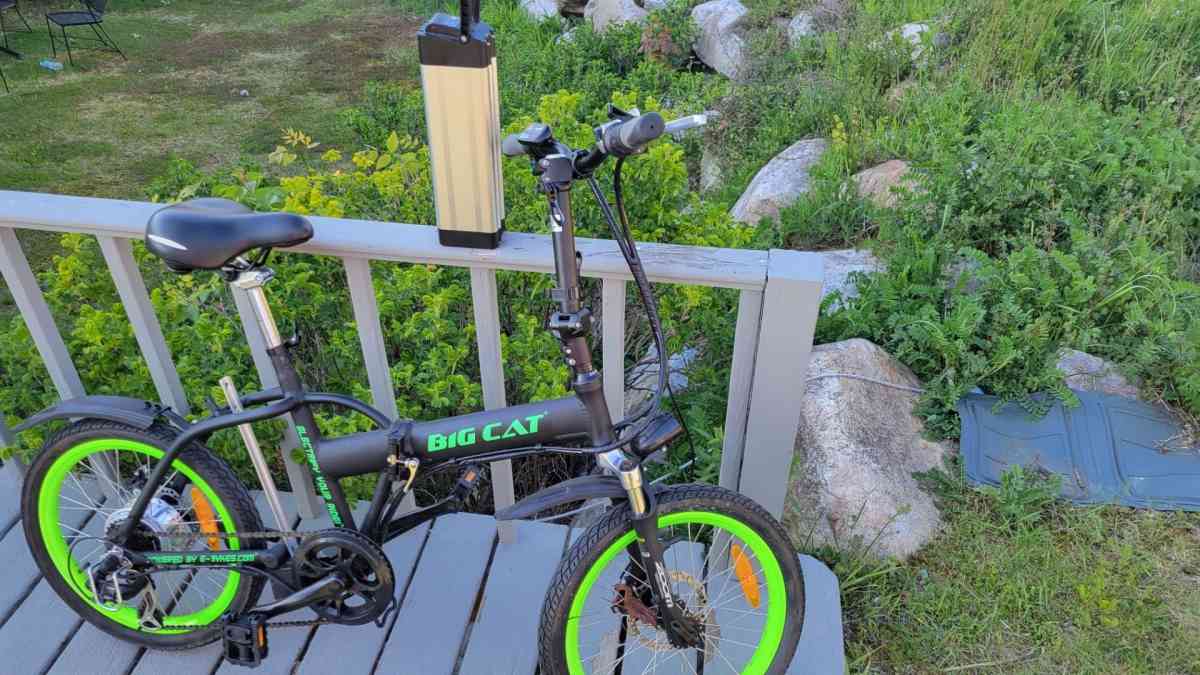 Big Cat Electric Bike