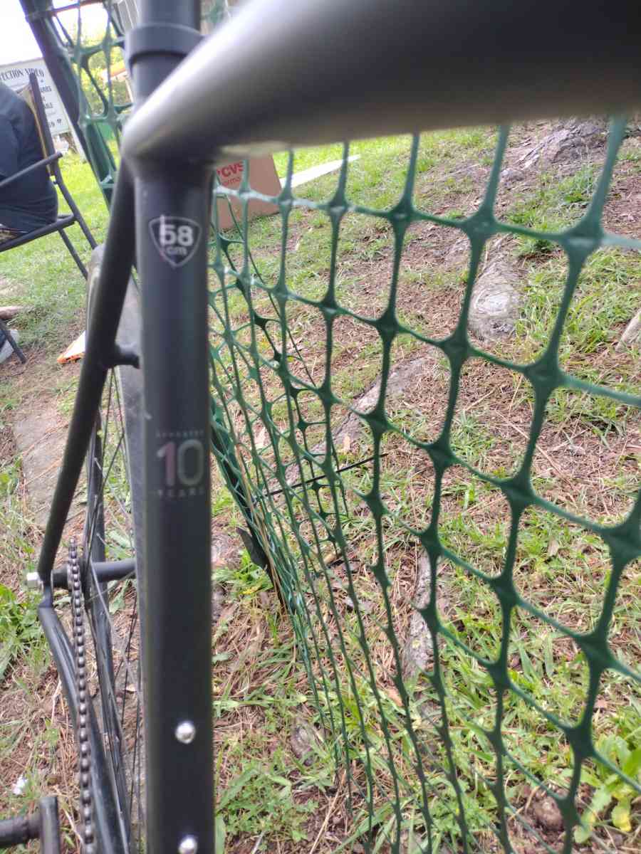 specialized Langster