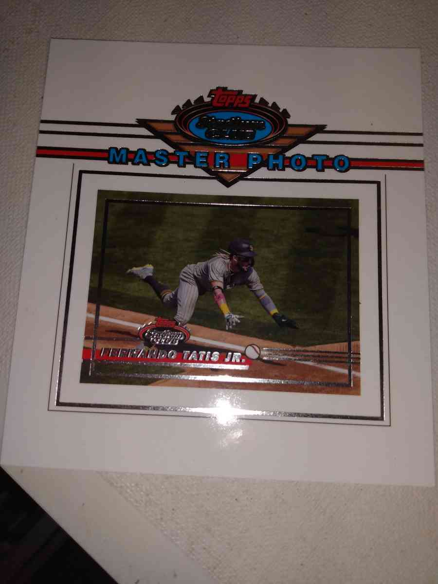 2021 Master photo Fernando tattis Jr