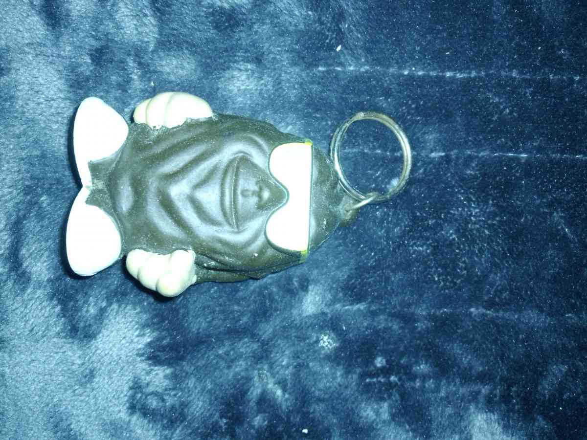 Vintage Rasin Keychain