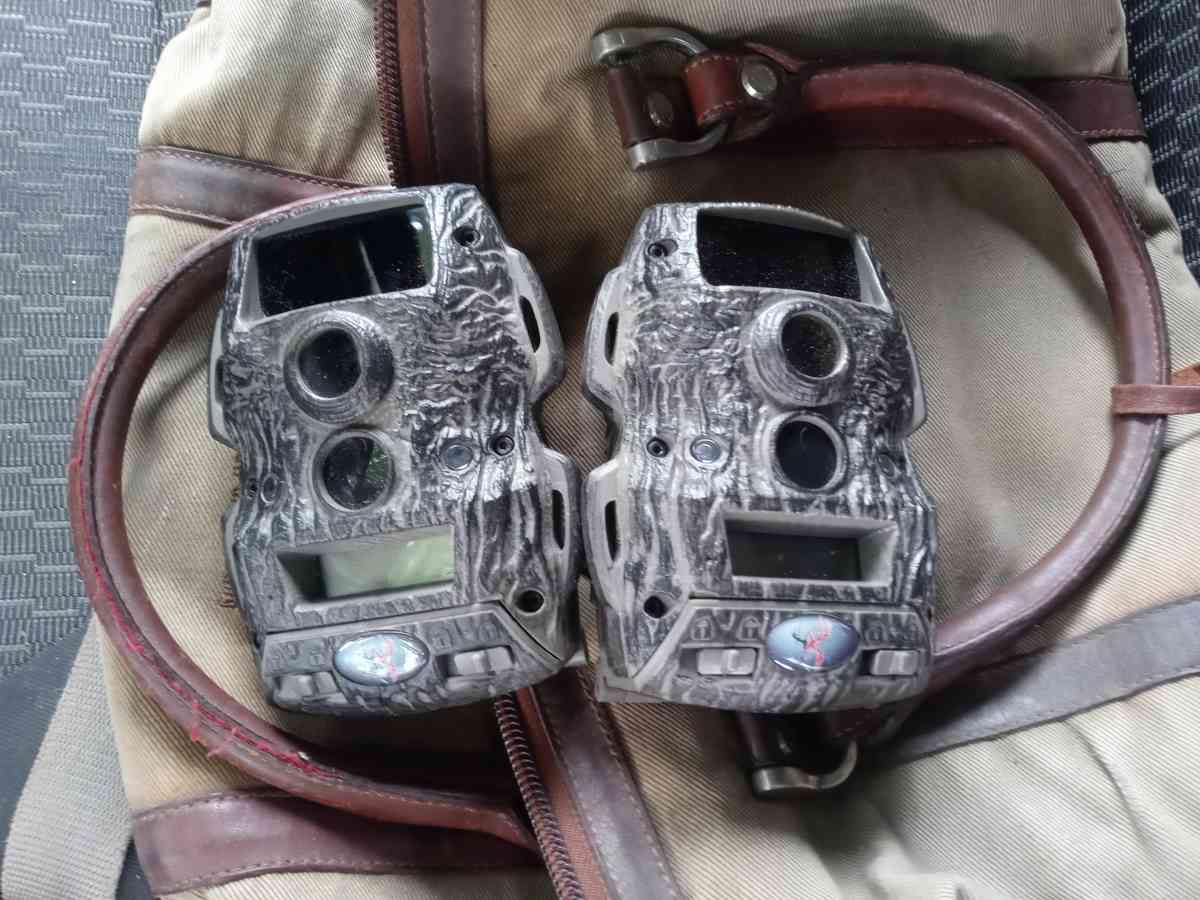 deer cameras game trail cameras