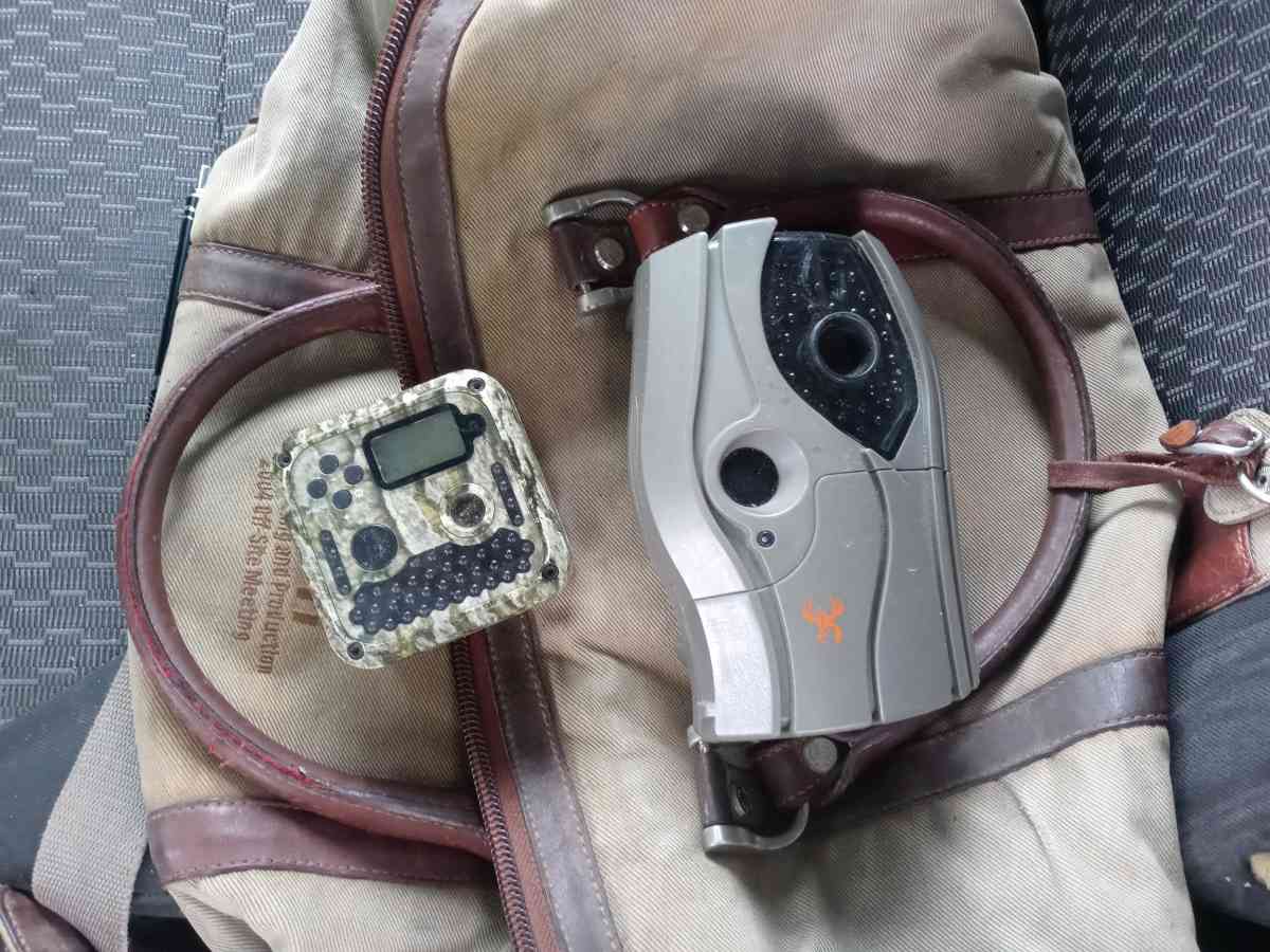 deer cameras game trail cameras