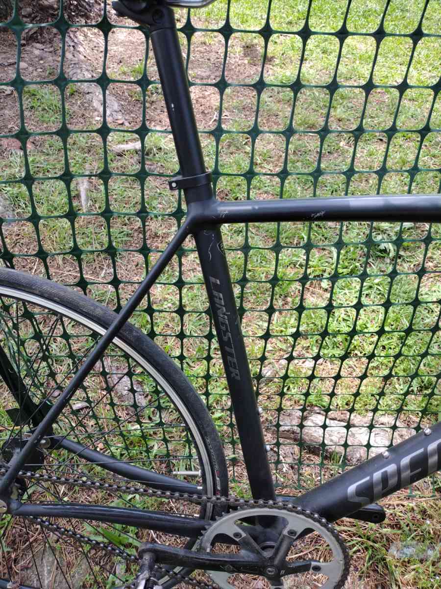 specialized Langster