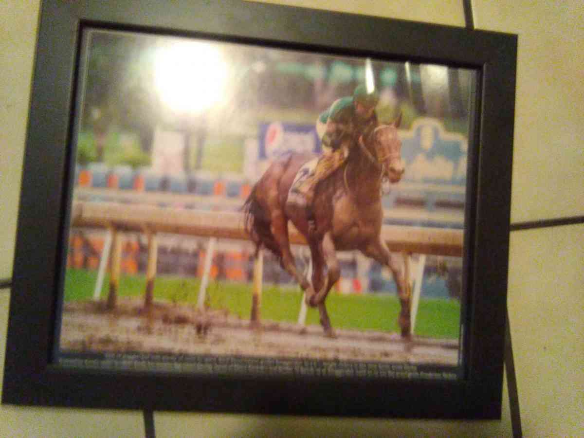 set of 6 2016 Santa Anita horse race photos