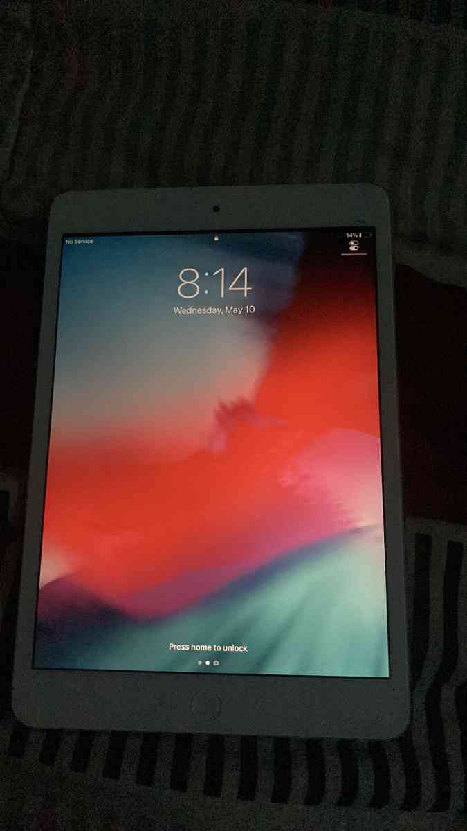iPad mini 2