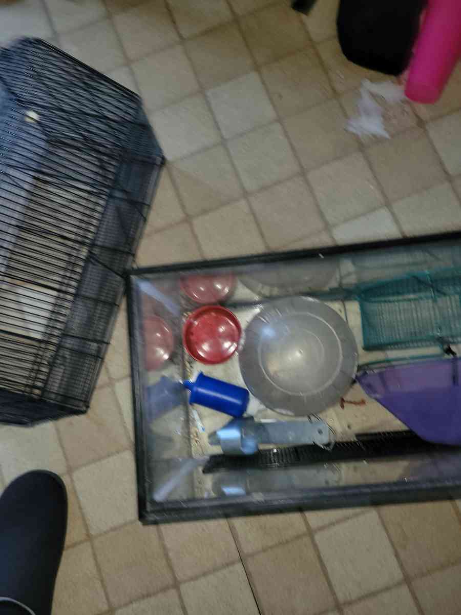 25 gallon tank and topper and other hamster items