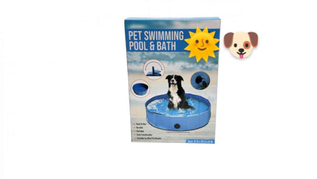 dog pool for the summer