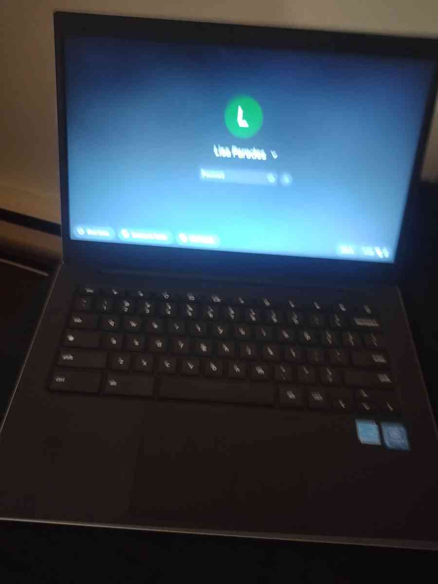 Samsung Galaxy google Chromebook go 5G