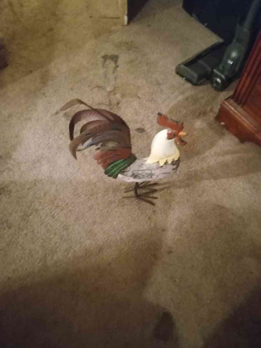 knick knack rooster the sit around