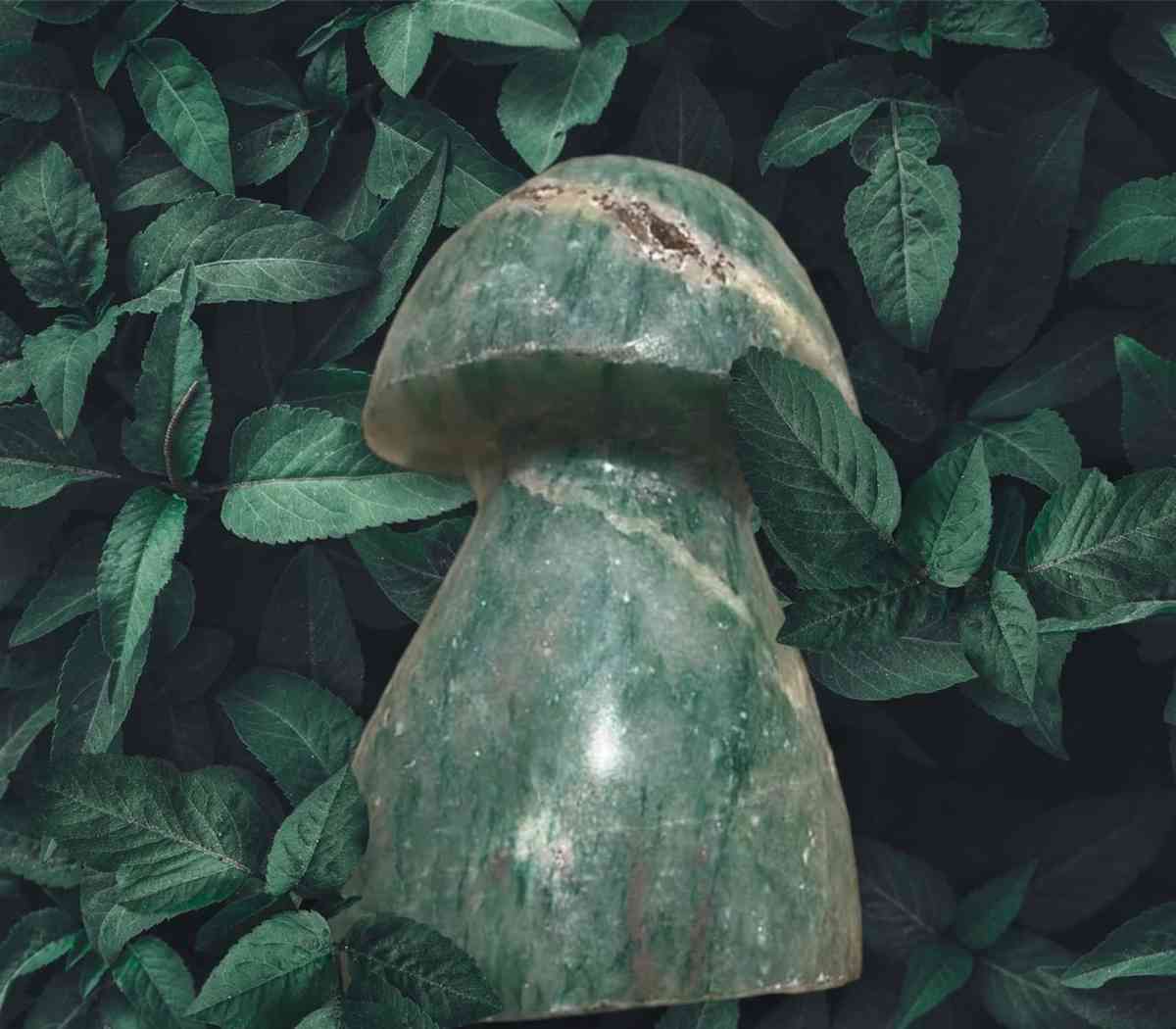 Druzy Amazonite Crystal Mushroom