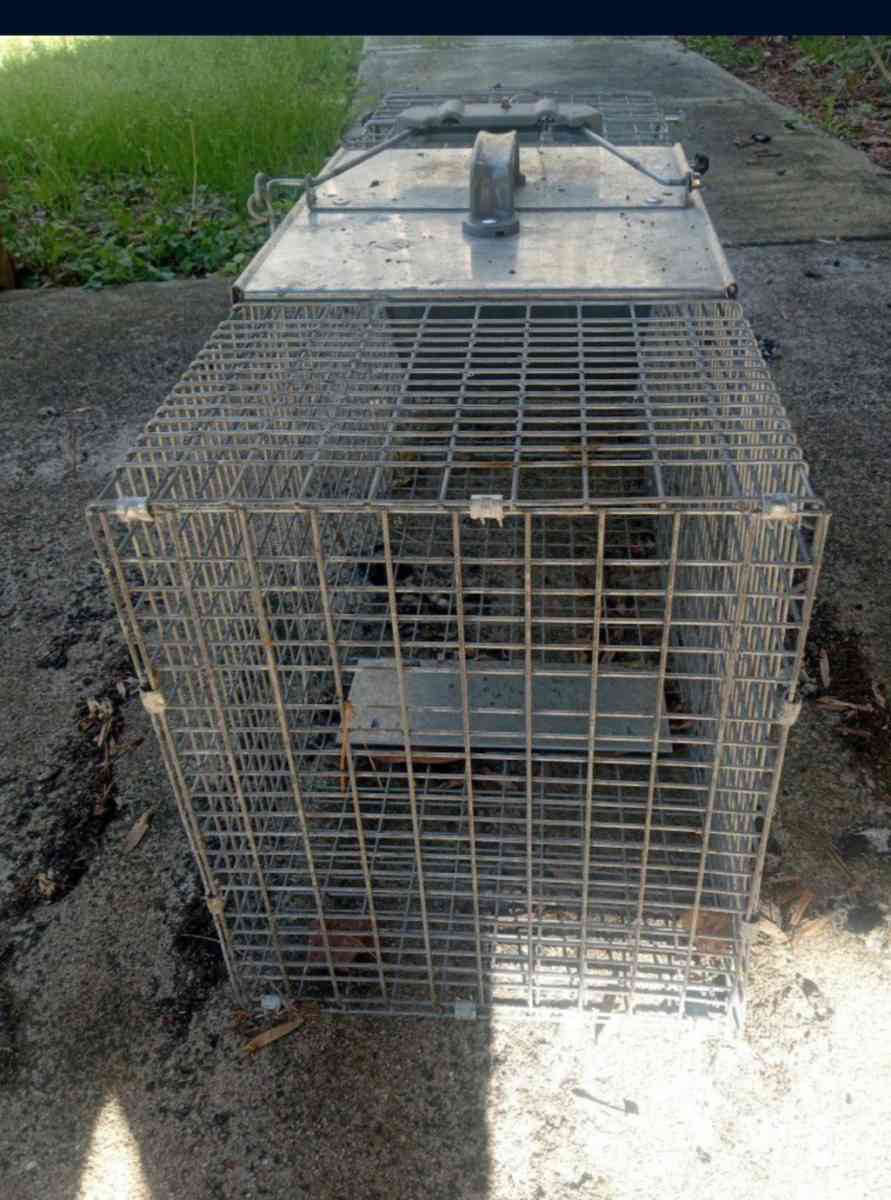 animal cage