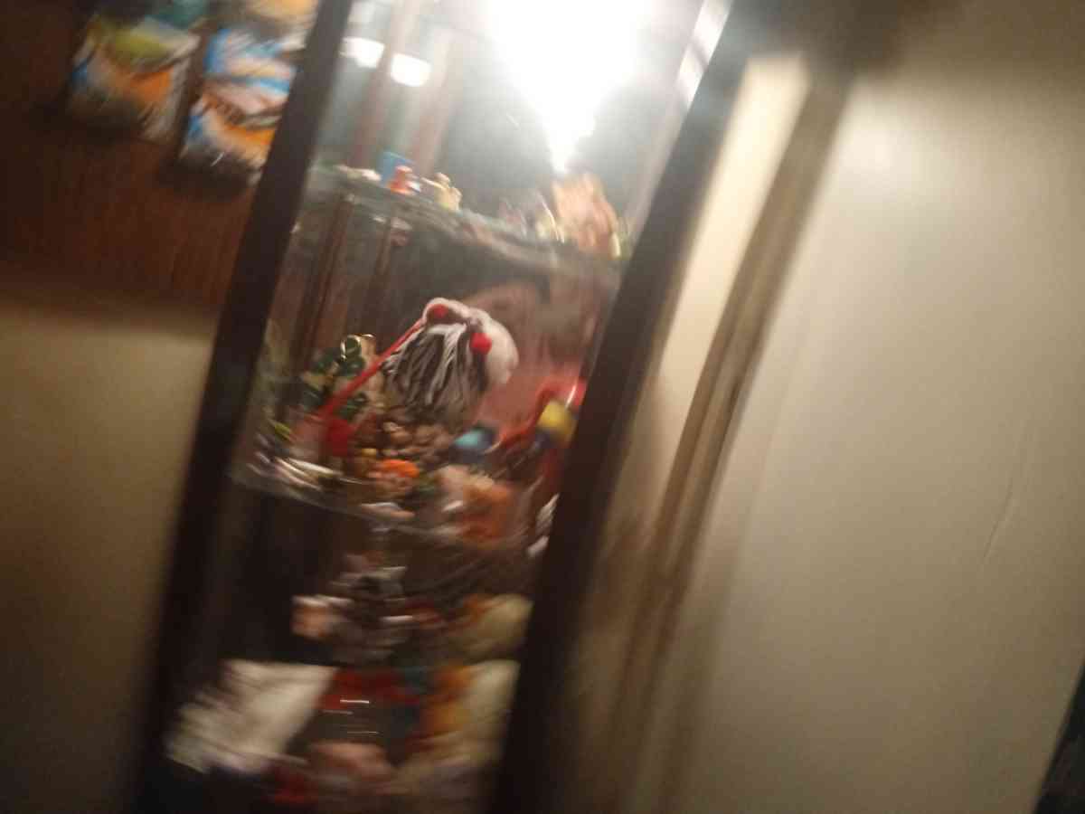 a curio cabinet
