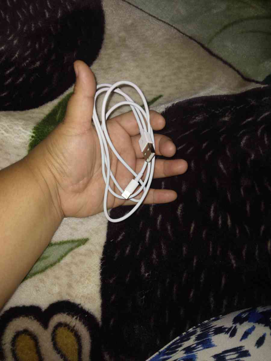 iphone charger