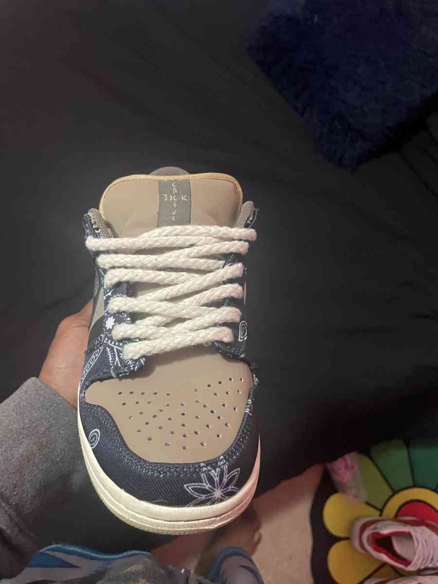 Travis scoot sb dunks