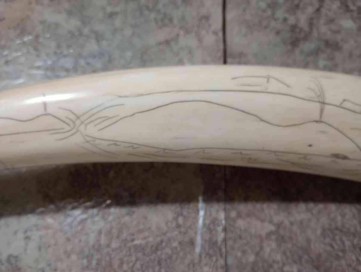 Authentic PreBan Alaskan Inuit Scrimshaw Handicraft Art
