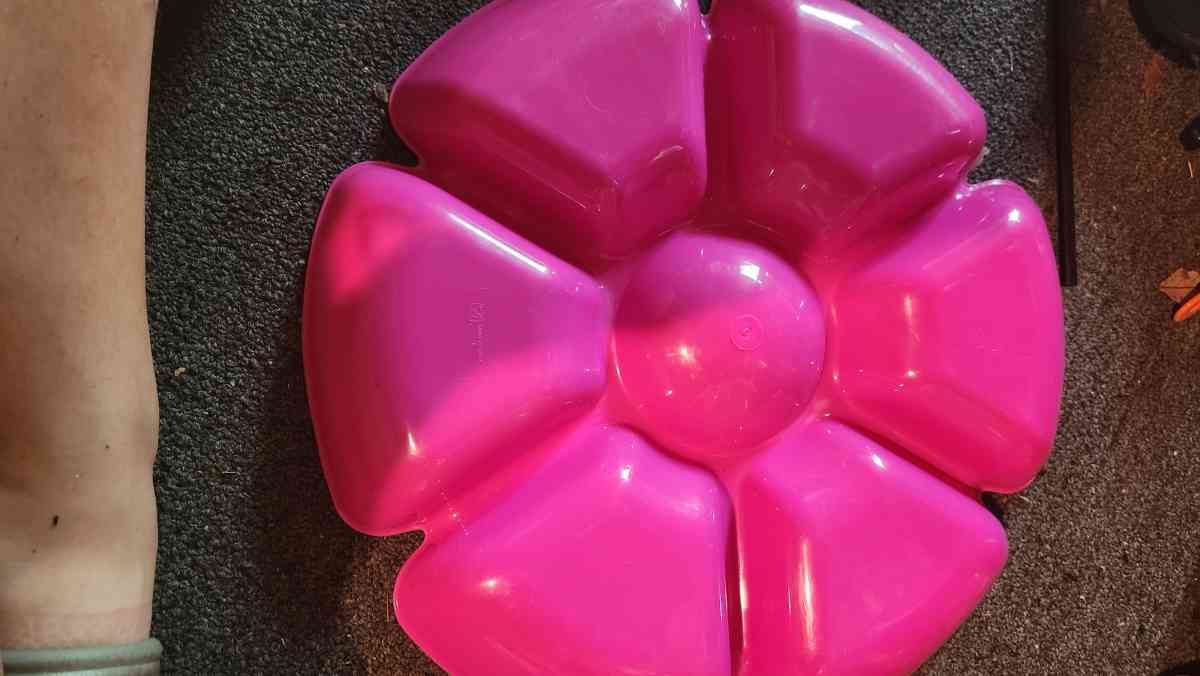 Divided Tray for Fruit and Dip in the Middle