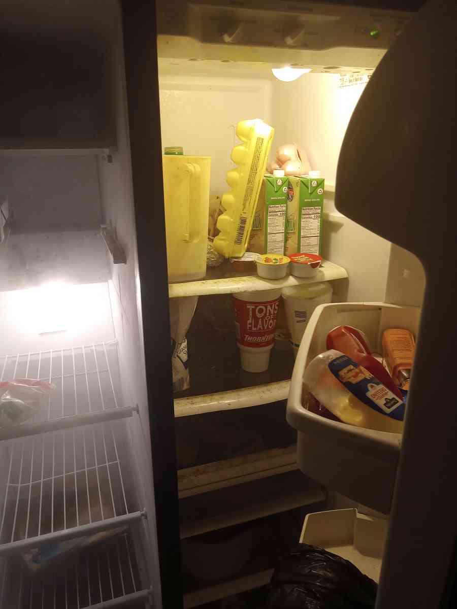 Samsung side by side refrigerator