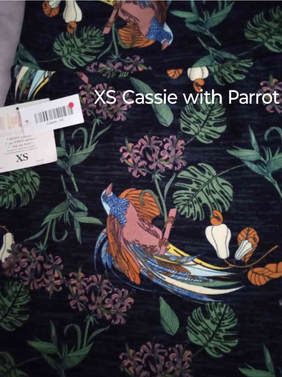 NWT LuLaRoe XS  Skirt outfit 35  Retails for 73 Toucan birds