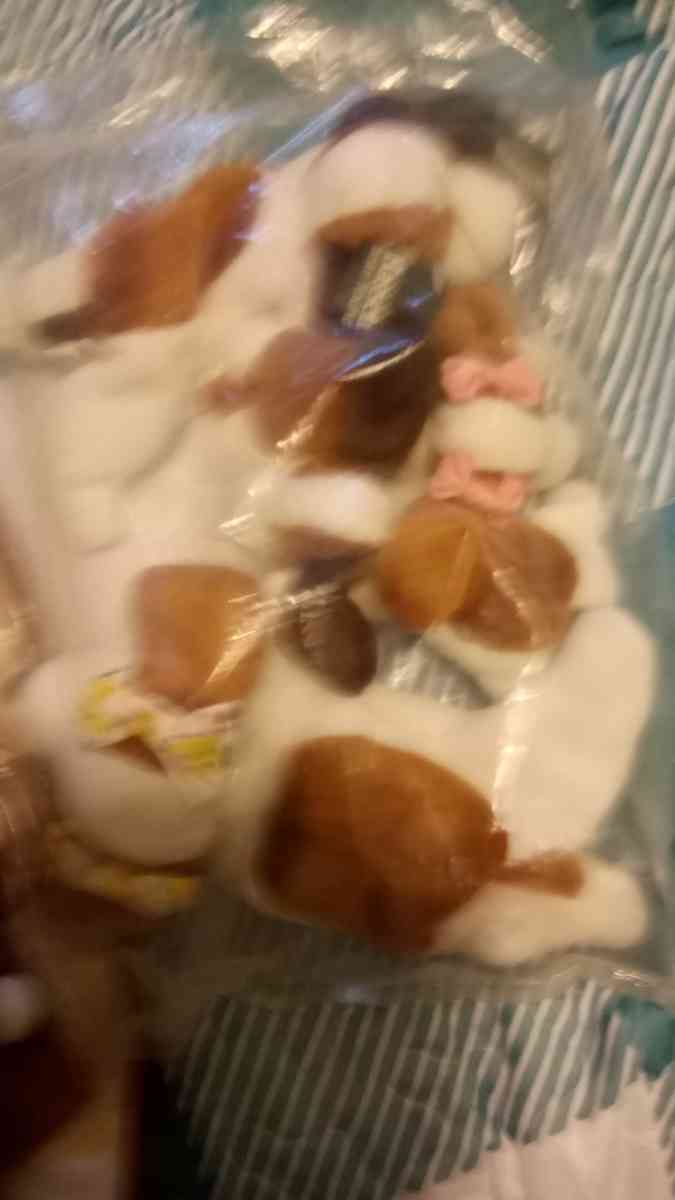 Bassett bean hounds set in plastic an carrying case