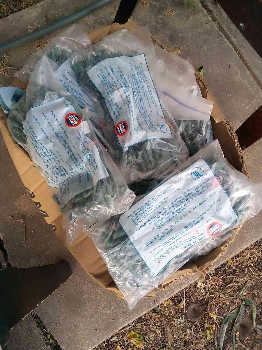 Christmas lights 20 pks 6 a piece still in plastic new