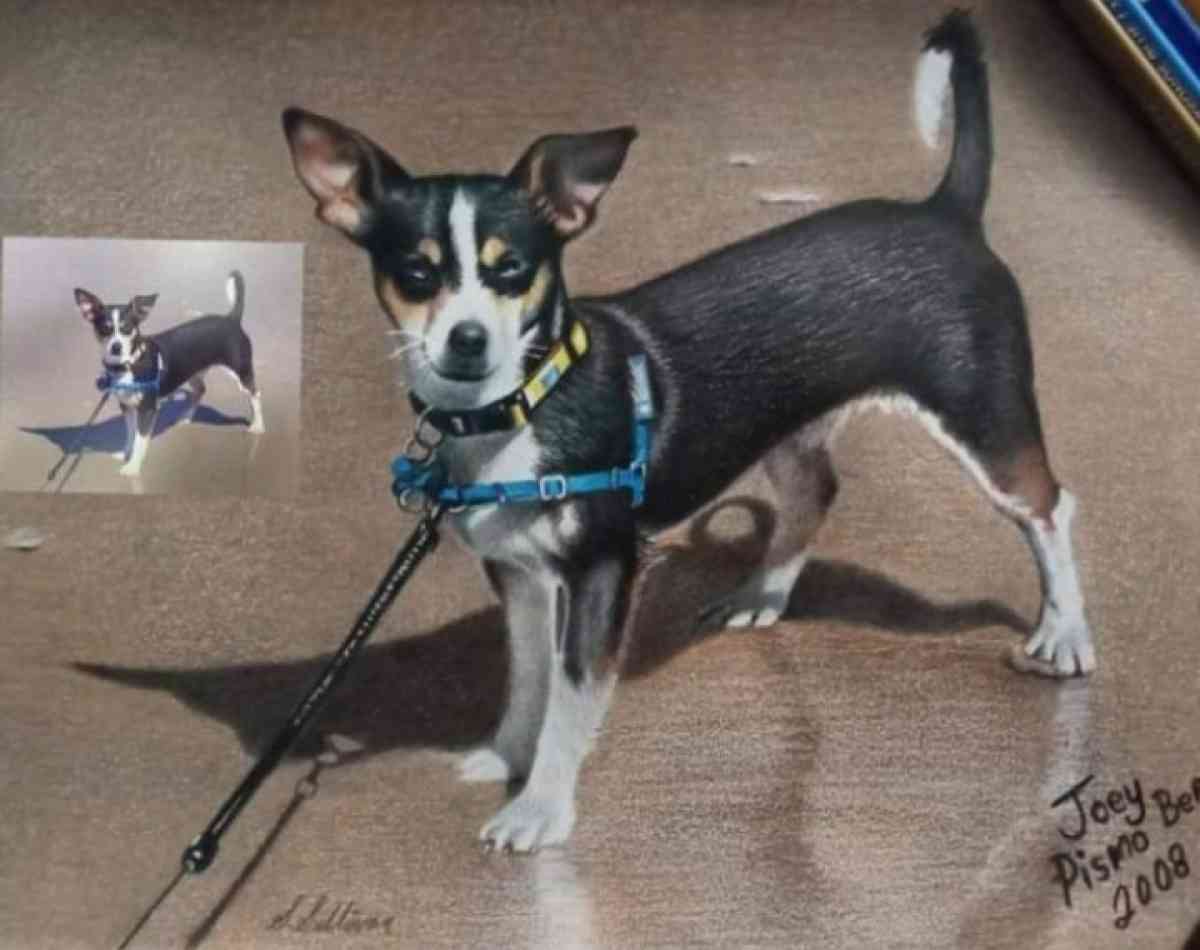 Hand drawn portraits