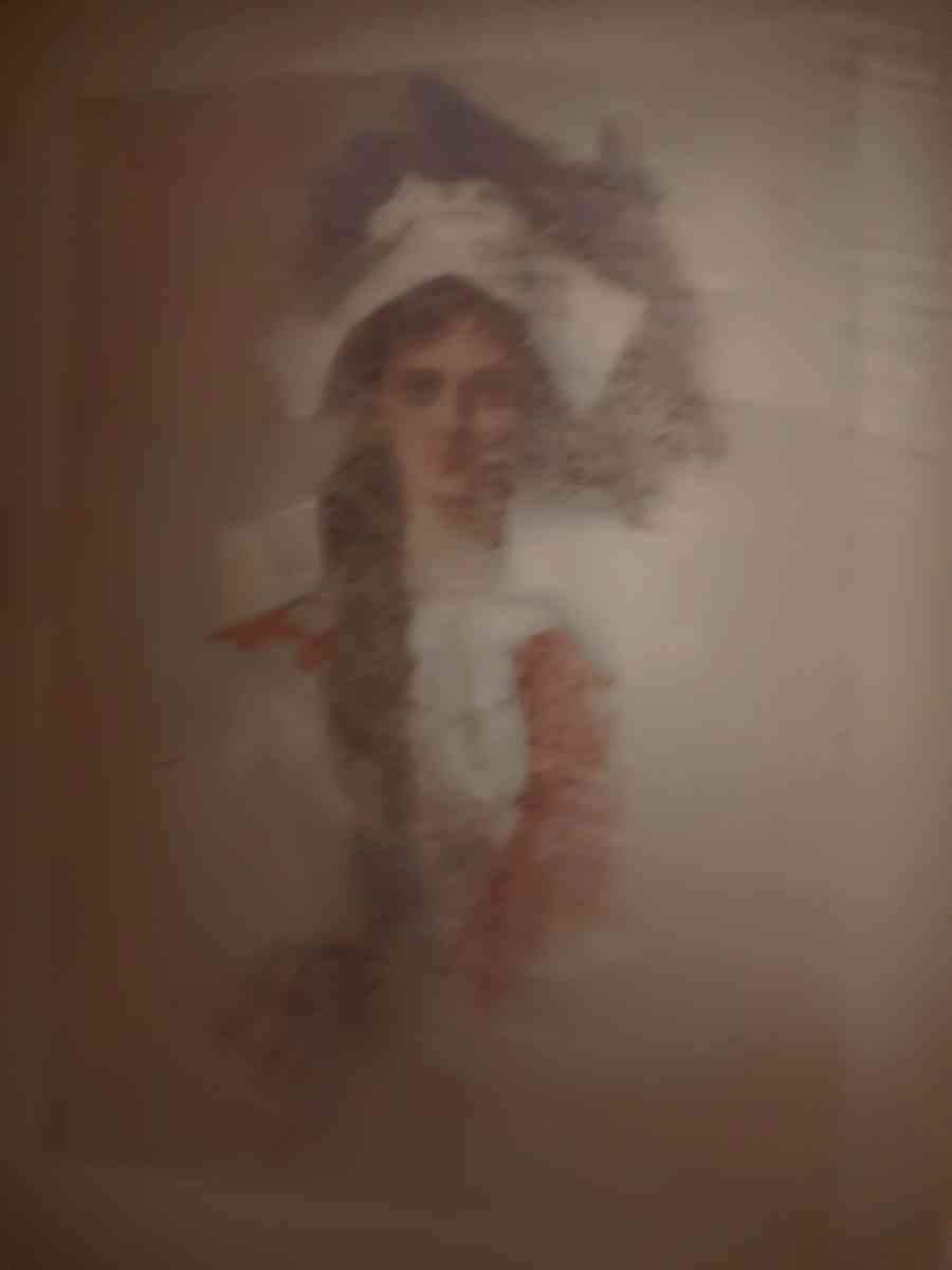 Evangelive antique bopk copywrighted 1866