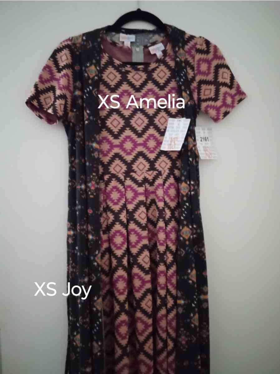 NWT LuLaRoe Dresses and Covers 40 each outfit