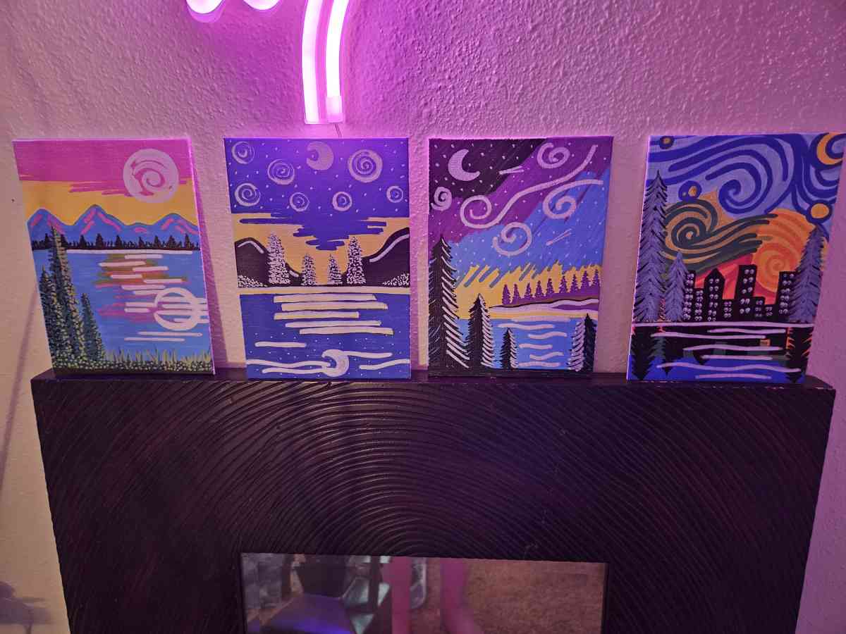 Hand Painted Acrylic Canvases