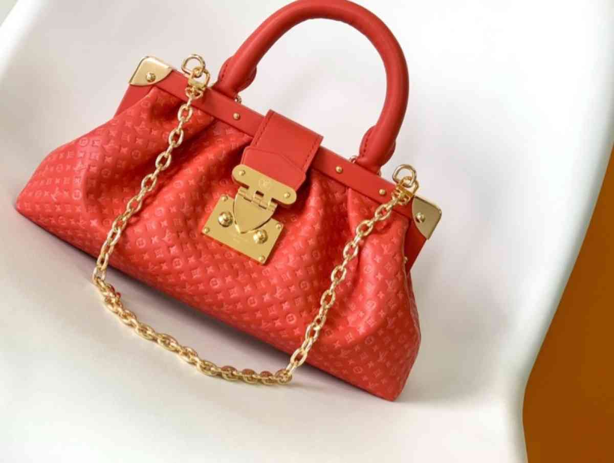 LV Bag