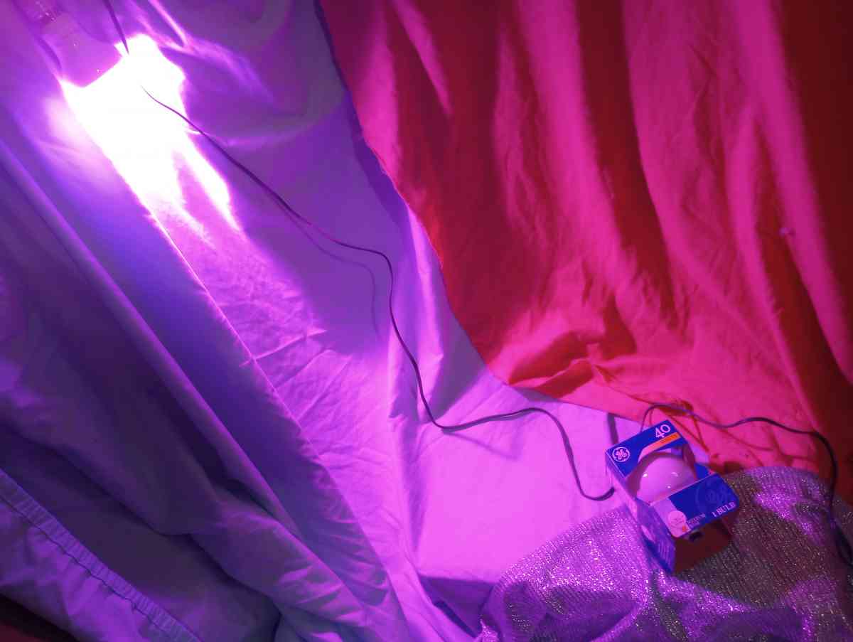 Grow Light for Indoor Plants with Extra 40 watt Bulb