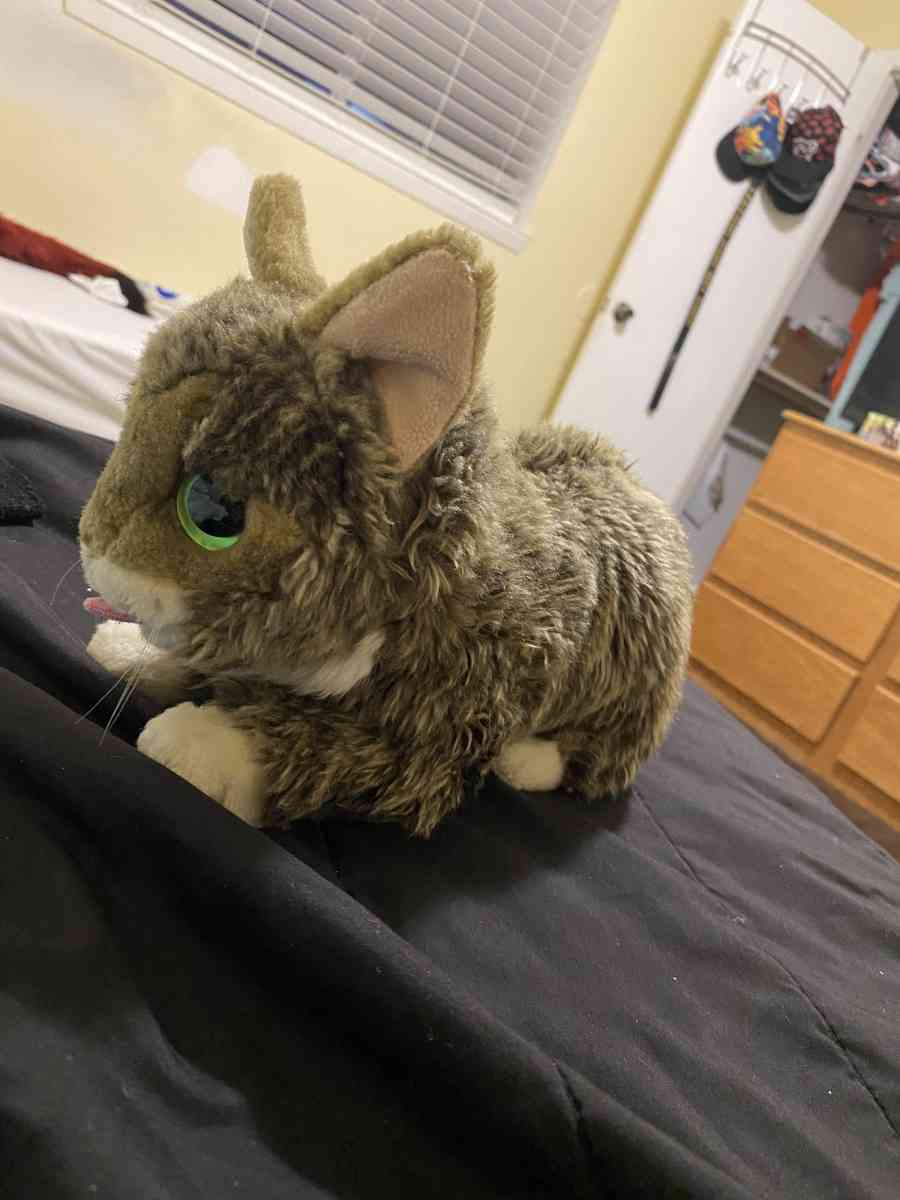 cat plush