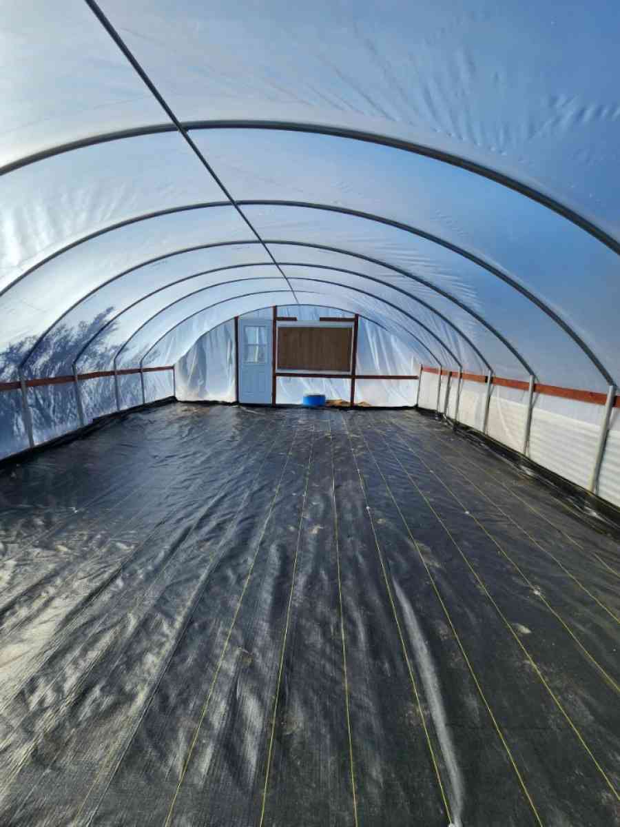 Green Houses Various Sizes