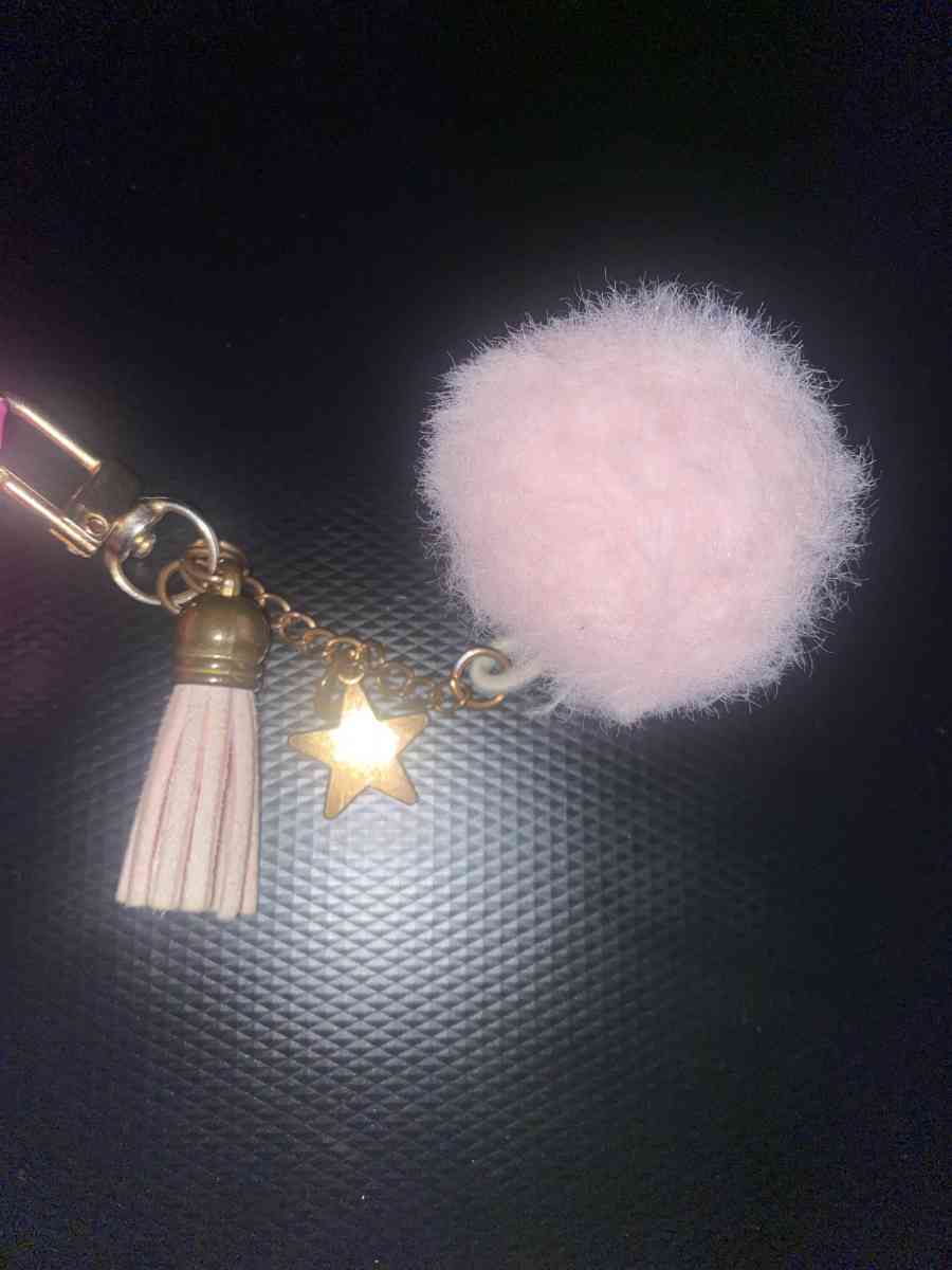 Barbie Airpods Pro Case