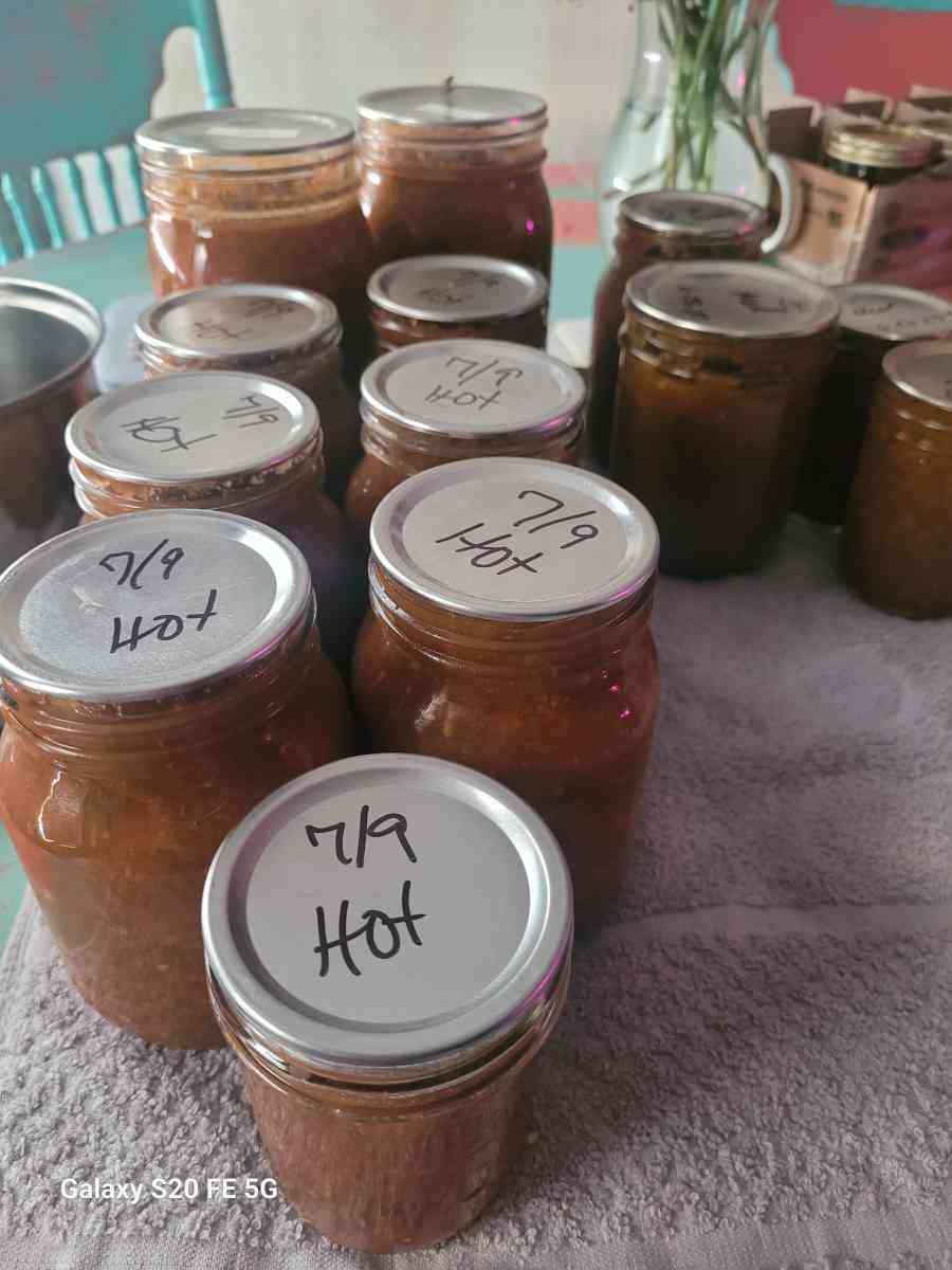 Homemade Salsa