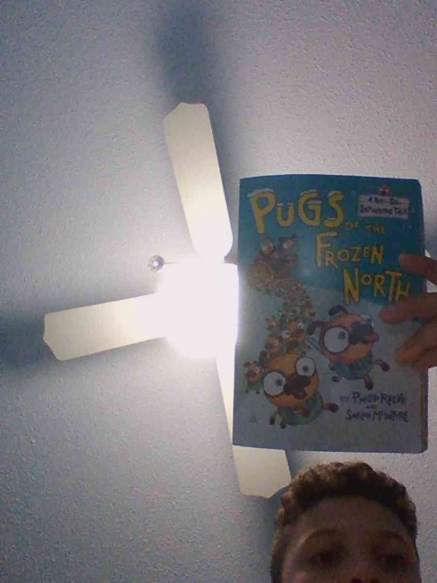 pugs of the frozen north