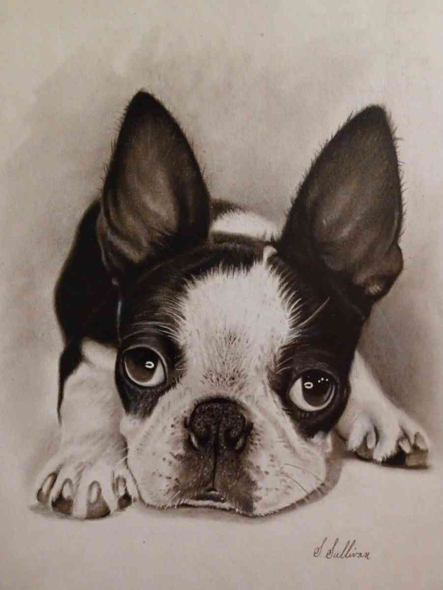 Hand drawn portraits