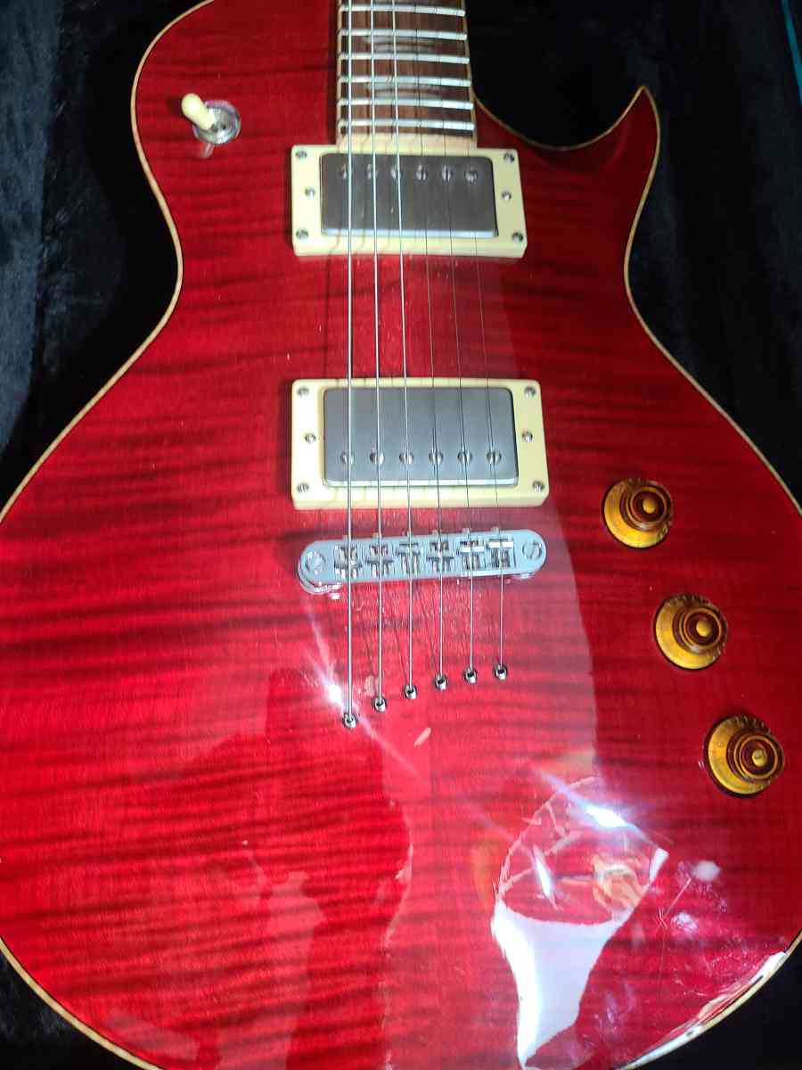 This Beautiful Electric Mitchell Guitar