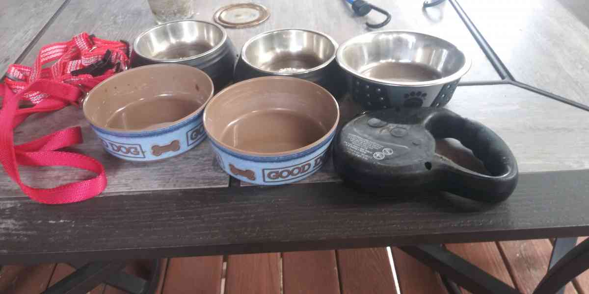 Dog bowls leashes and a harness