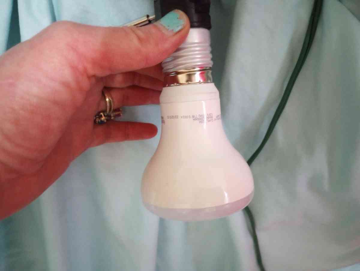 Grow Light for Indoor Plants with Extra 40 watt Bulb