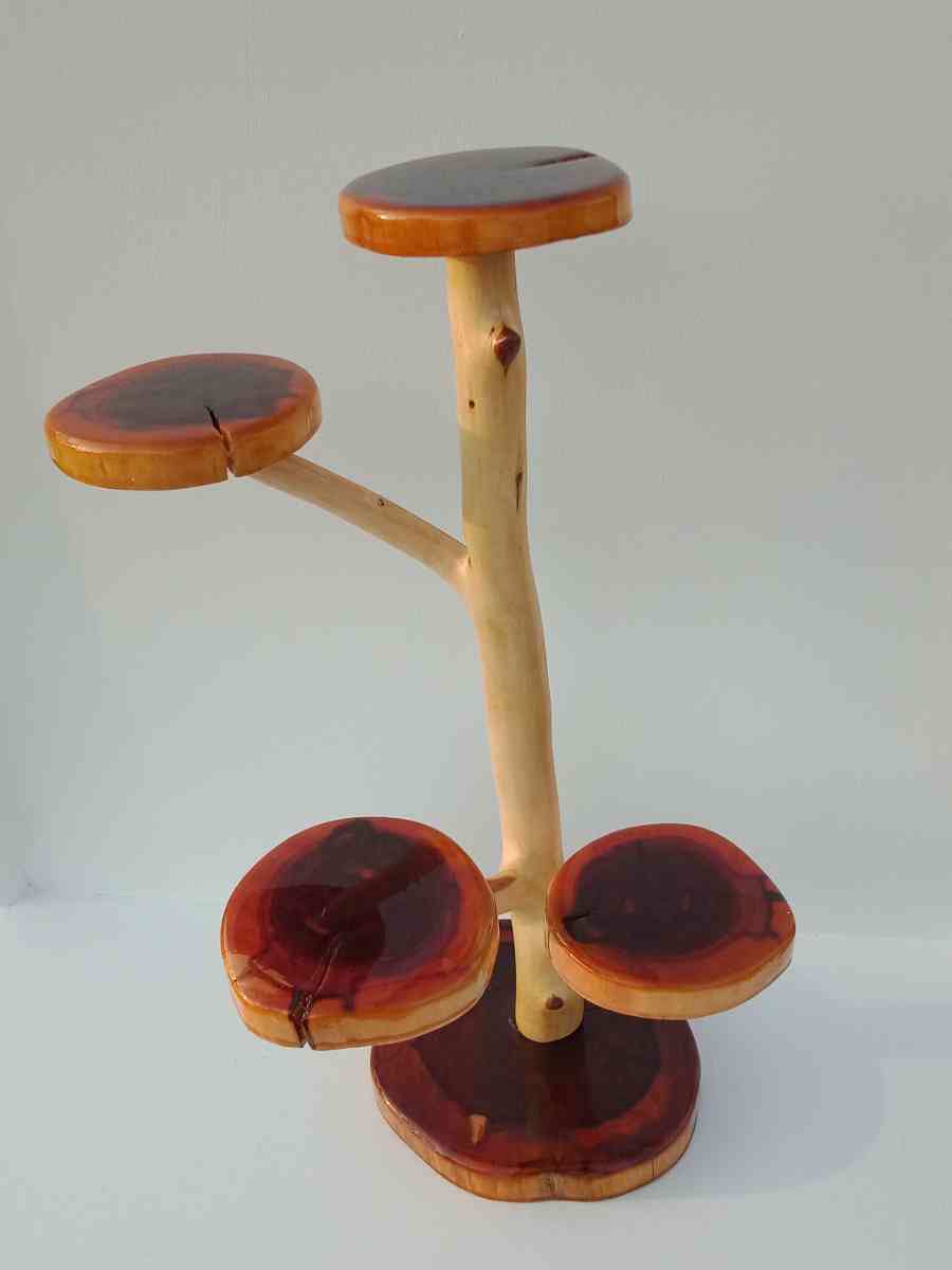 jaw dropping cedar display piece