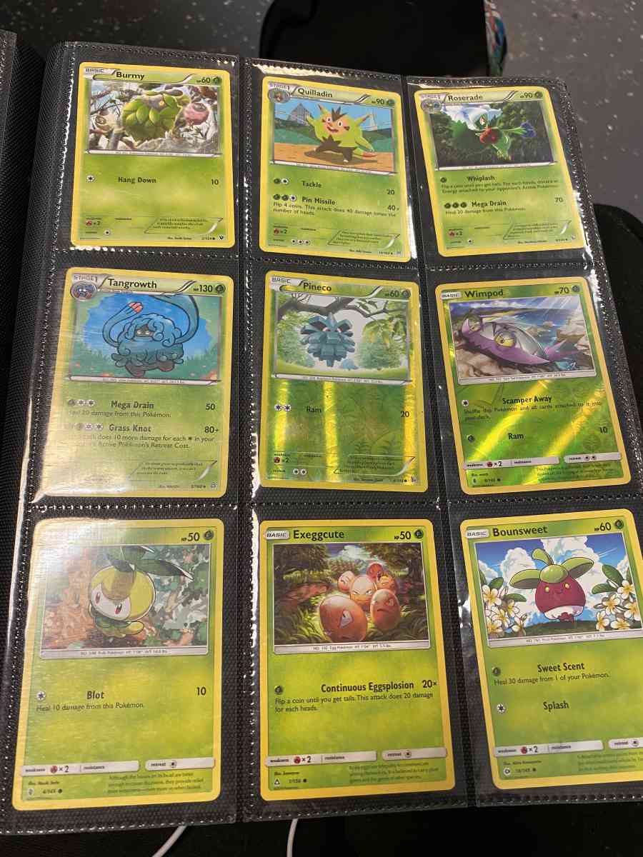 Pokmon binder and cards