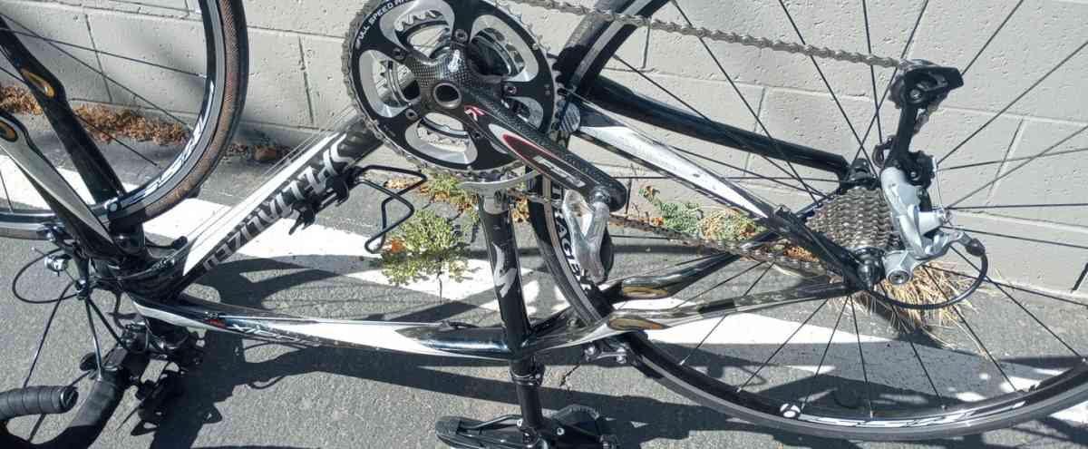 Specialized Roubaix Pro