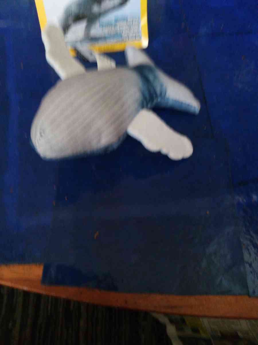 National Geographic humpback whale