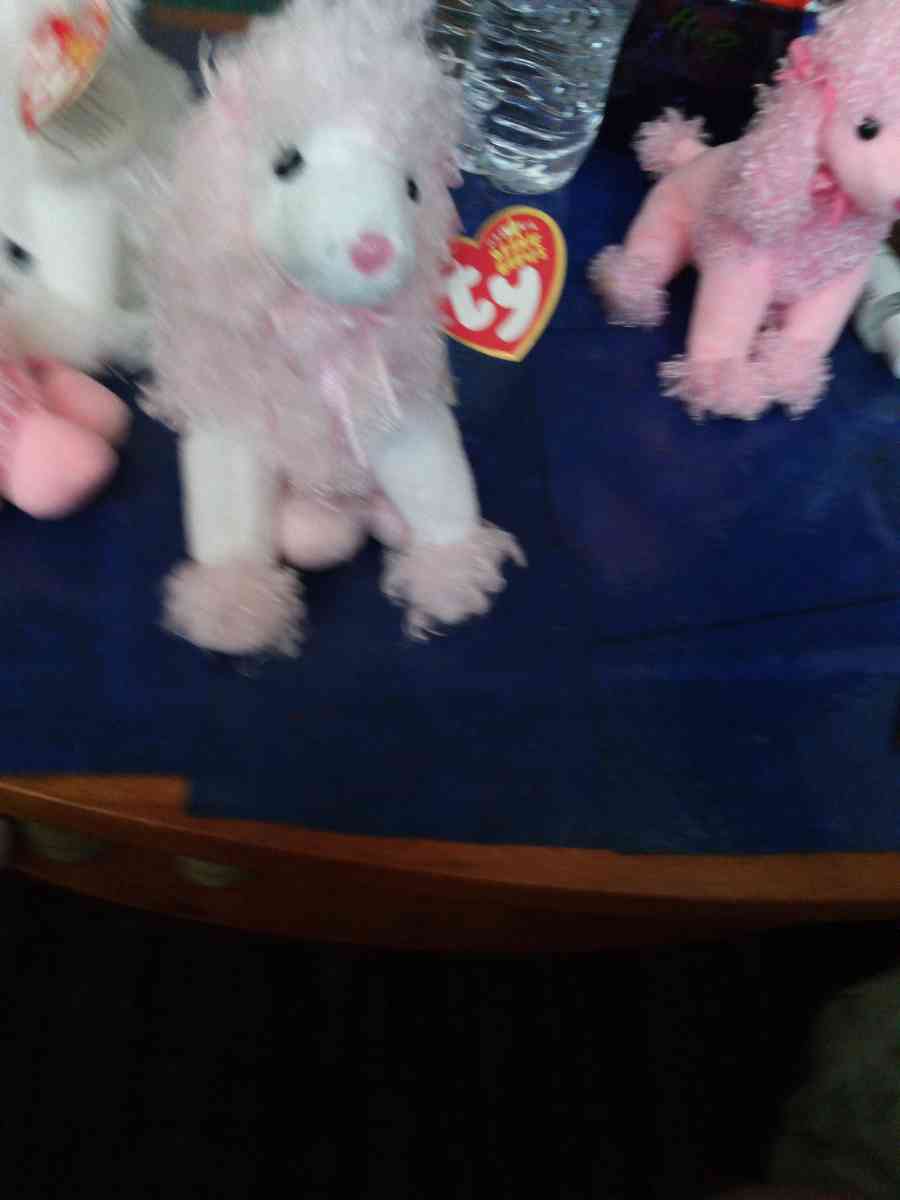 TY BEANIE DivalIghtful